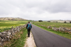 Randonnée de Saint-Jacques-de-Compostelle entre les 4 chemins et Nasbinals