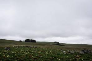 Près du buron de Pendouliou de Ramel