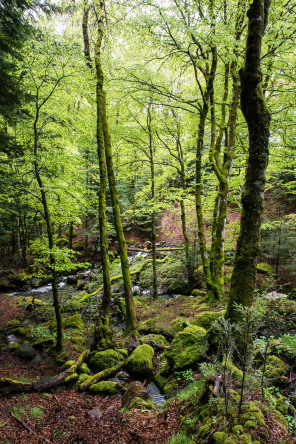 Randonnée de la cascade du Dévez