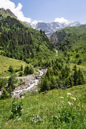 Sentier dans la vallée de Chavière (juin 2017)