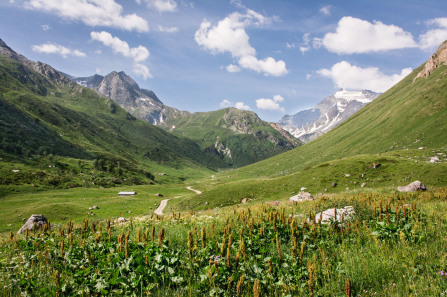 Randonnée de la pointe de l'Observatoire – Sentier jusqu'à la ferme du Ritort (juin 2017)