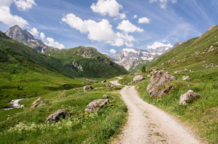 Randonnée de la pointe de l'Observatoire – Sentier jusqu'à la ferme du Ritort (juin 2017)