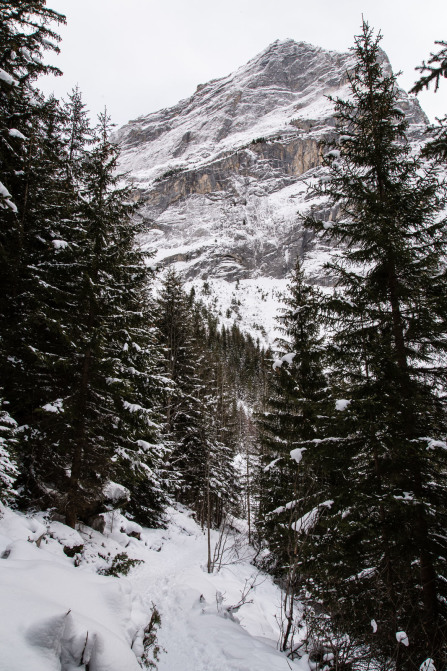 Balade vers la cascade de la Fraîche (janvier 2021)