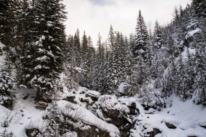 Balade vers la cascade de la Fraîche (janvier 2021)