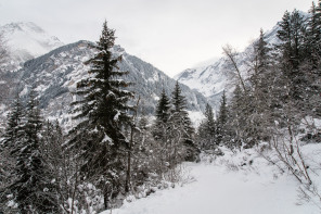 Sentier de la Corniche (janvier 2021)