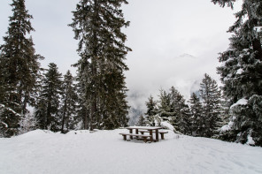 Sentier de la Corniche (janvier 2021)