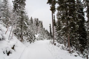 Sentier de la Corniche (janvier 2021)