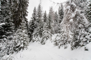 Sentier de la Corniche (janvier 2021)