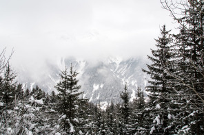 Sommet du sentier de la Corniche (janvier 2021)