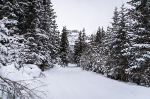 Randonnée du refuge des Barmettes à Pralognan