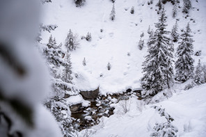 Randonnée du refuge des Barmettes à Pralognan