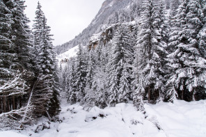 Balade vers la cascade de la Fraîche (janvier 2022)