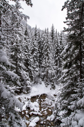 Balade vers la cascade de la Fraîche (janvier 2022)