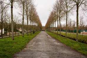 Provins – Boulevard d'Aligre