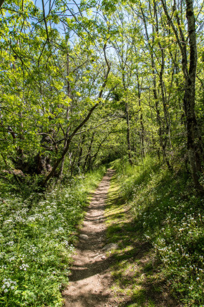 Randonnée entre Toulaud et le col des Ayes