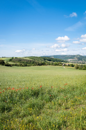 Randonnée autour du massif de Crussol