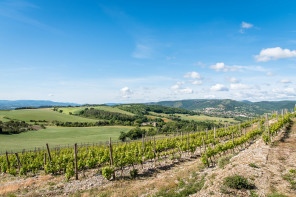 Randonnée autour du massif de Crussol