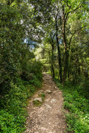 Randonnée autour du massif de Crussol