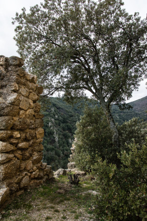 Saint-Georges-les-Bains – Ruines de Saint-Marcel-de-Crussol (en hiver)