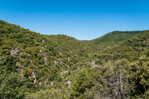 Saint-Georges-les-Bains – Chemin des Sources