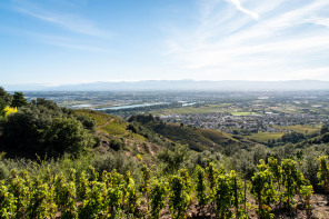 Randonnée sur les coteaux de Cornas