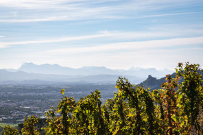 Randonnée sur les coteaux de Cornas