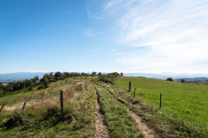 Randonnée sur les coteaux de Cornas