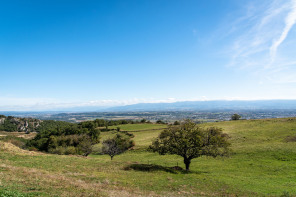 Randonnée sur les coteaux de Cornas