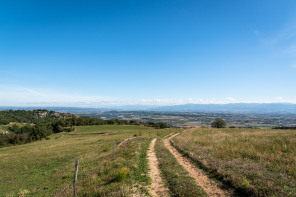 Randonnée sur les coteaux de Cornas