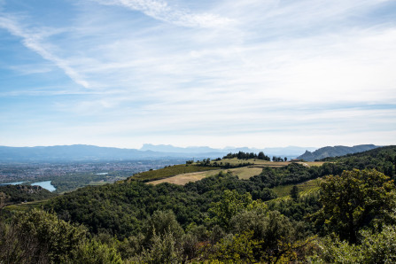 Randonnée sur les coteaux de Cornas