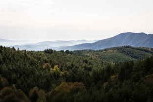 Sud Ardèche