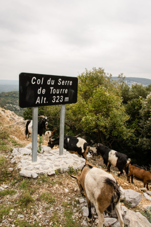 Route touristique des gorges – Belvédère du Serre de Tourre