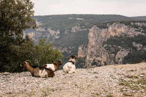 Route touristique des gorges – Belvédère d'Autridge