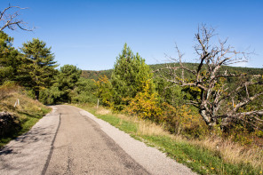 Sur la route vers Faugères