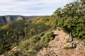 Randonnée entre Peyre et Thines