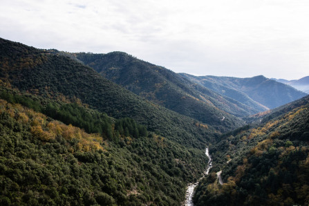 Randonnée entre Peyre et Thines