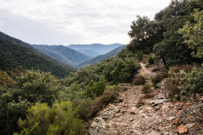 Randonnée entre Peyre et Thines