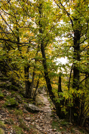 Randonnée entre Peyre et Thines