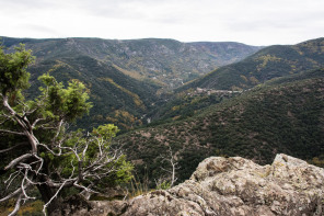 Randonnée entre Peyre et Thines