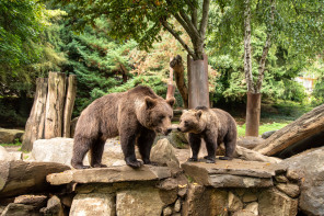 Parc animalier des Pyrénées