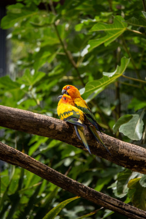 Parc animalier des Pyrénées