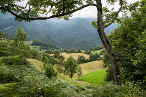 Sur les hauteurs d'Arbéost