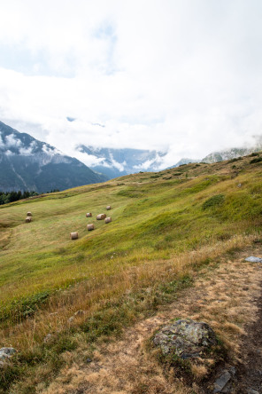 Plateau de Saugué