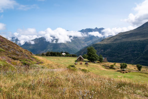 Plateau de Saugué