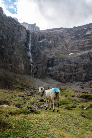 Randonnée du cirque de Gavarnie