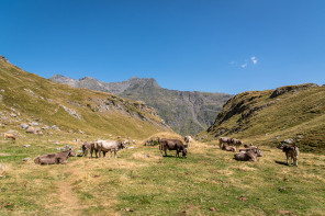 Randonnée du lac de la Bernatoire