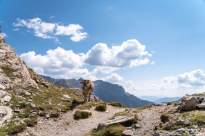 Randonnée du lac de la Bernatoire