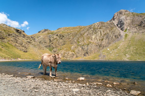 Randonnée du lac de la Bernatoire