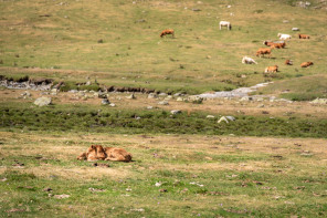 Randonnée du cirque d'Estaubé