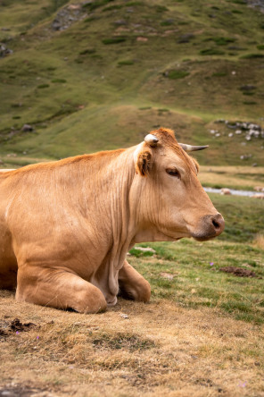 Randonnée du cirque d'Estaubé